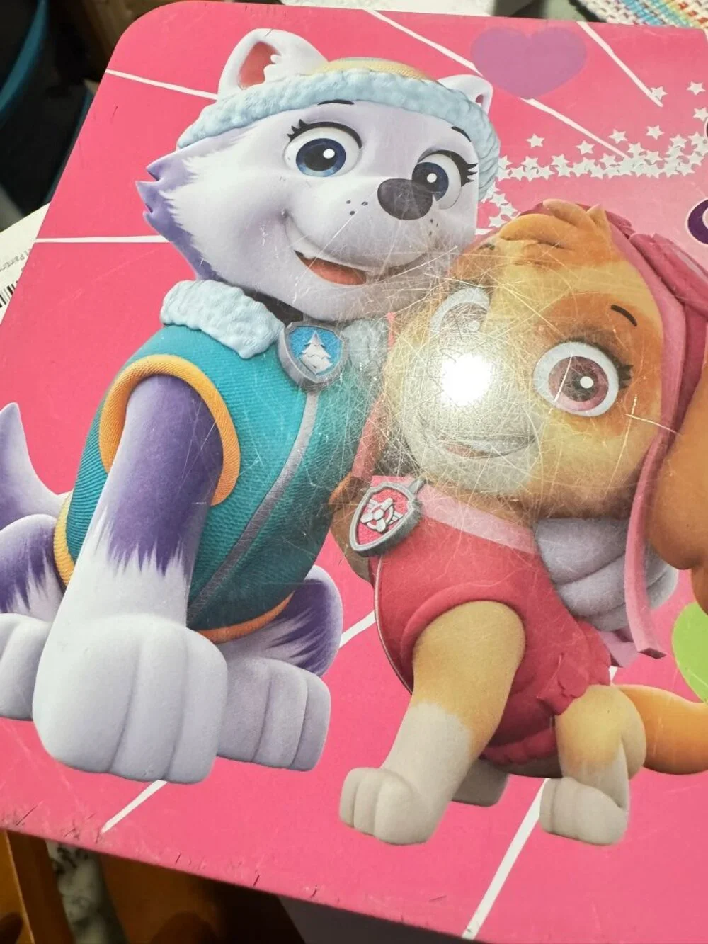 Paw Patrol Metal Lunch Box